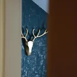 Appartement Am Diemelsee Infrarotsauna Inklusive Marsberg
