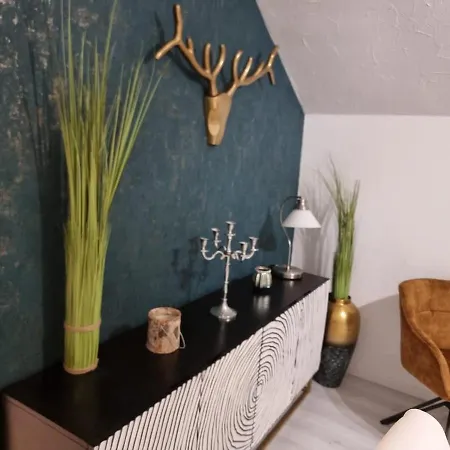 Am Diemelsee Infrarotsauna Inklusive Appartement Marsberg