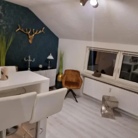 Lägenhet Am Diemelsee Infrarotsauna Inklusive