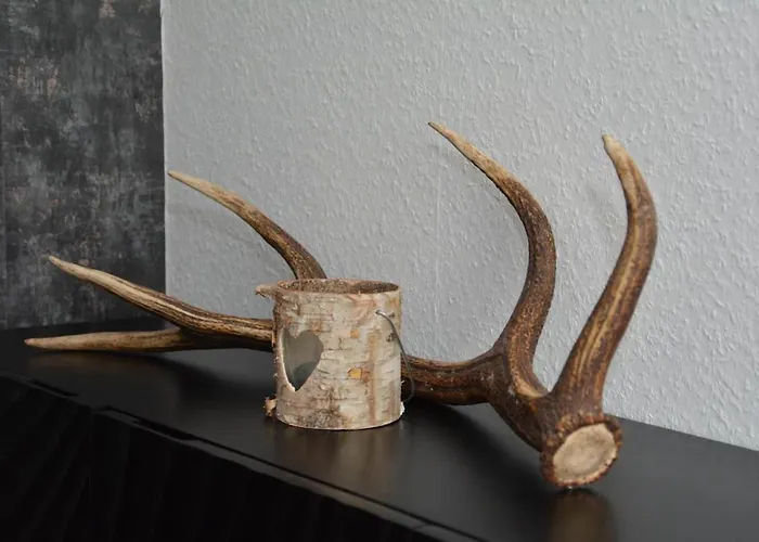 Am Diemelsee Infrarotsauna Inklusive Apartment